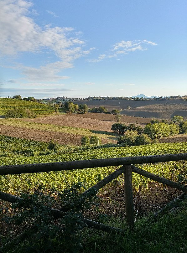 Country House Vigna Sant'Amico