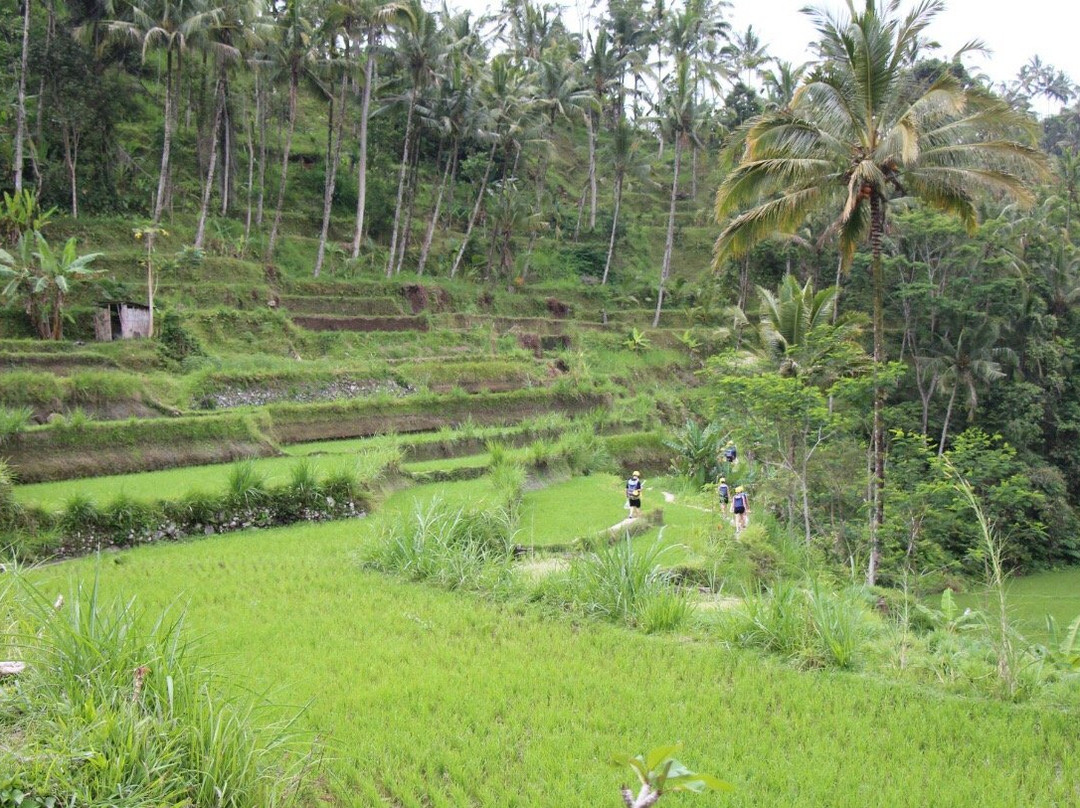 Telaga Waja White Water Rafting-金巴兰必去景点