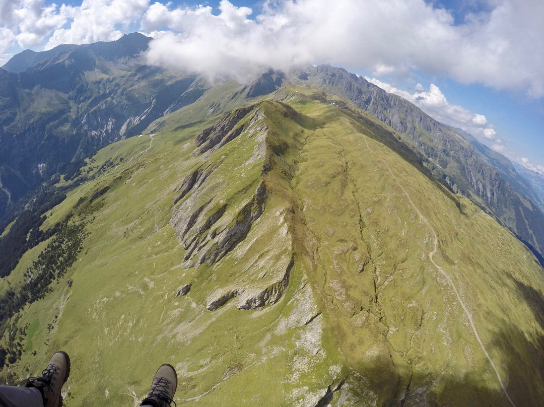 Chickenwings Paragliding Adventure-Vilters必去景点