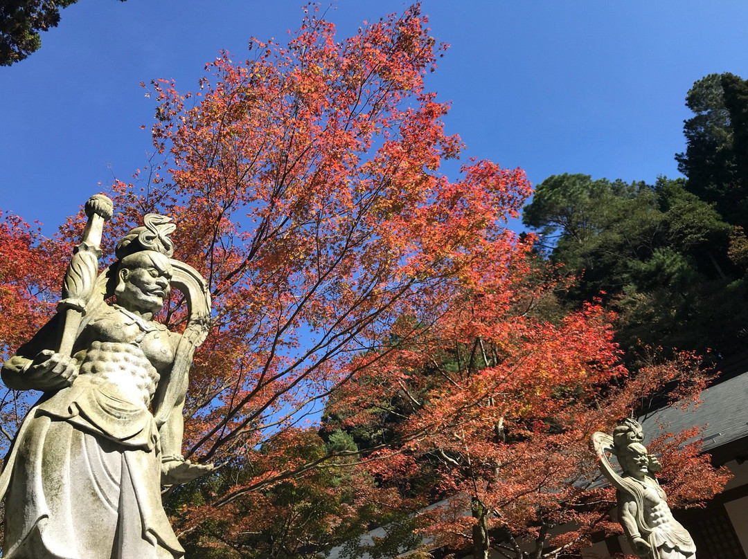 Nomiyama Kannon-ji Temple景点图片