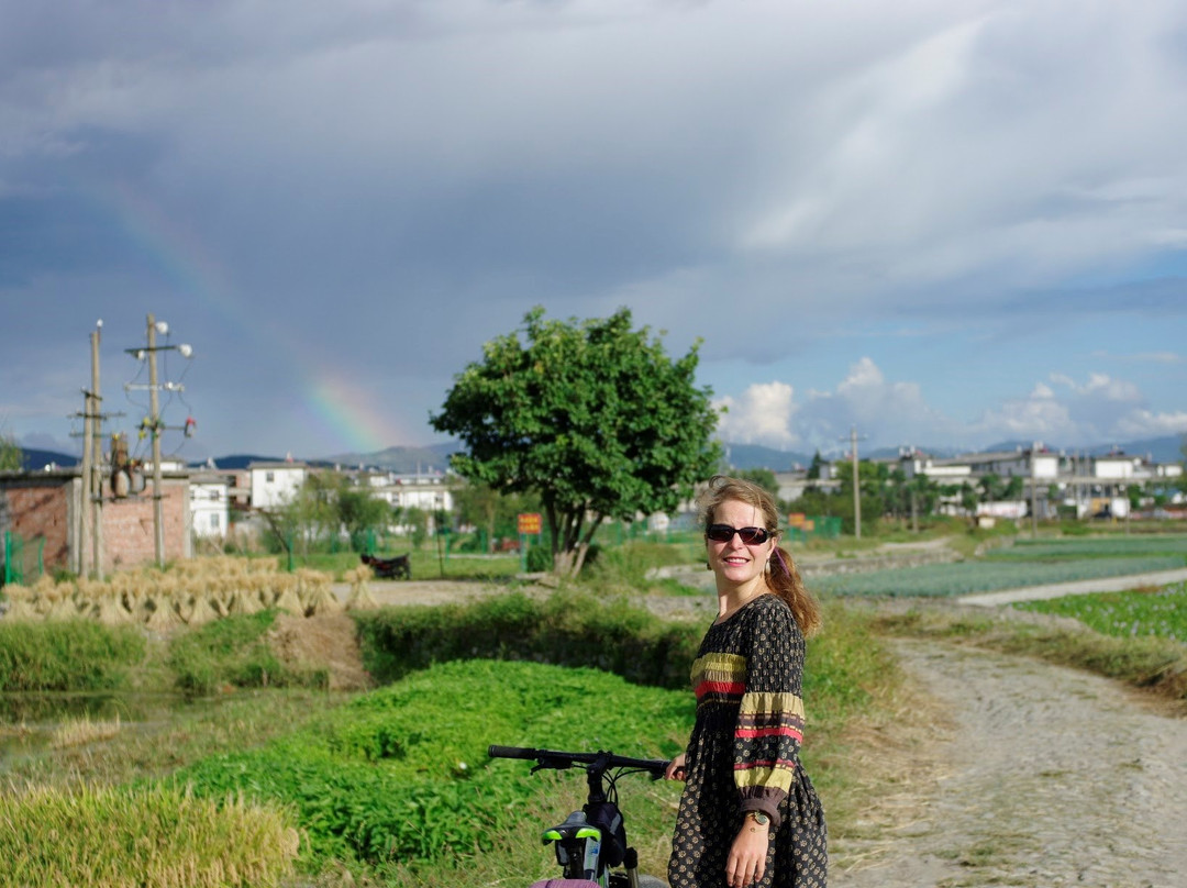 早春游-大理市必去景点