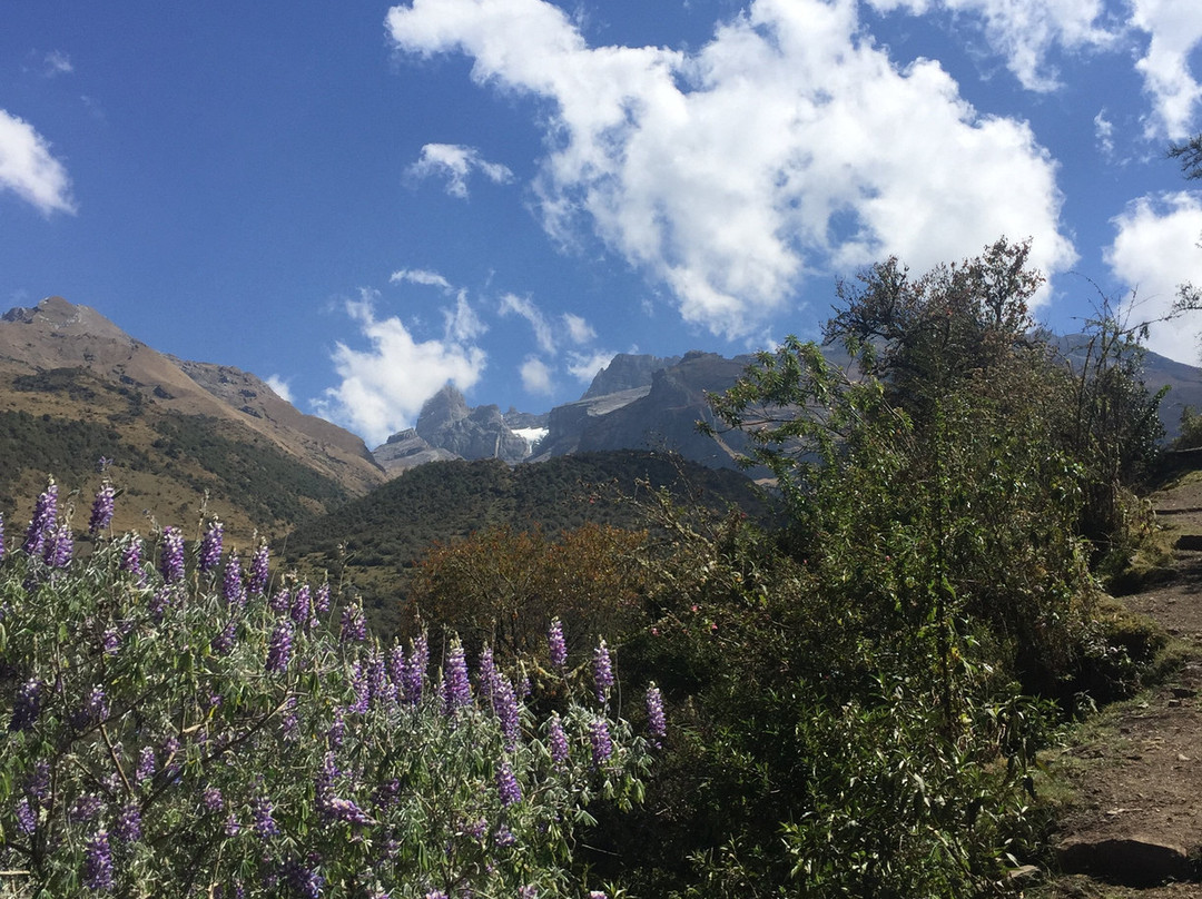 Santuario Nacional de Ampay-Abancay必去景点