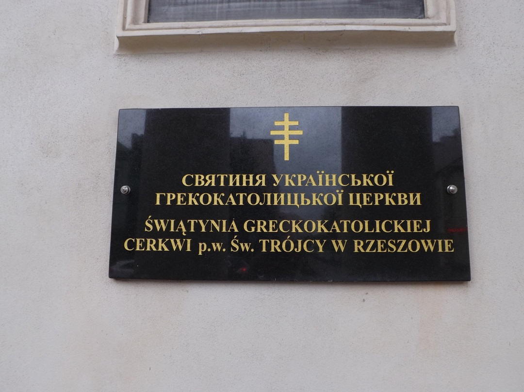 Stary Cmentarz景点图片