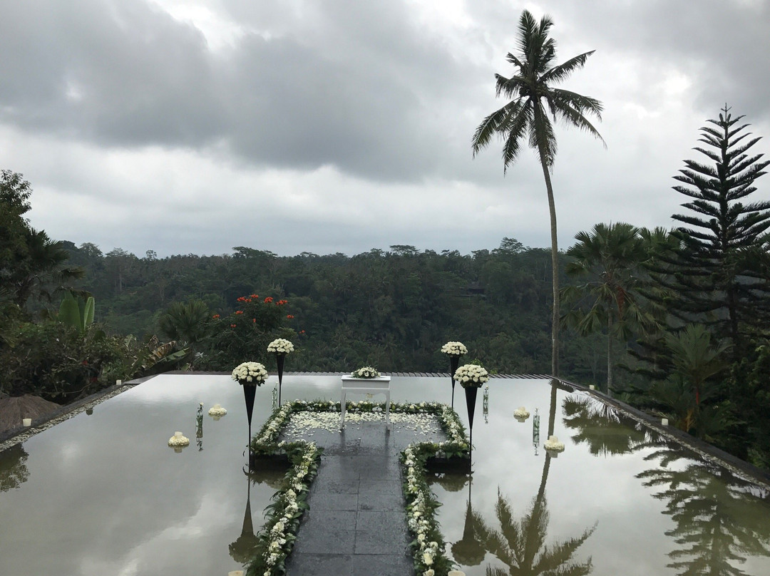 巴龙蝴蝶度假村主图