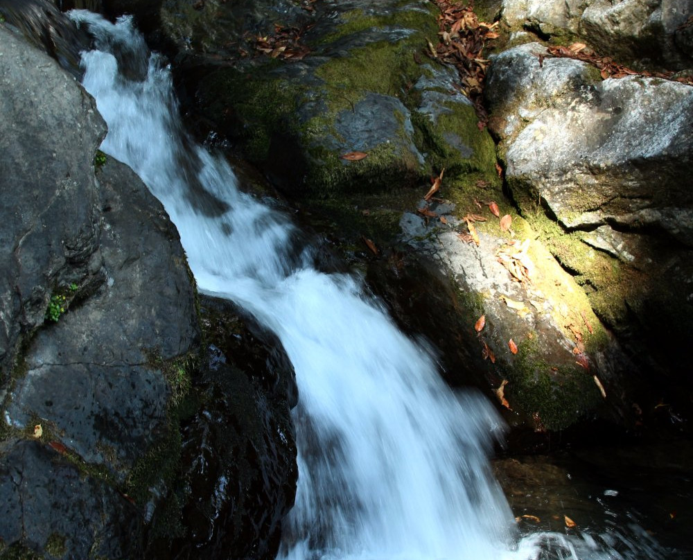 Kutaisi Tour-库塔伊西必去景点