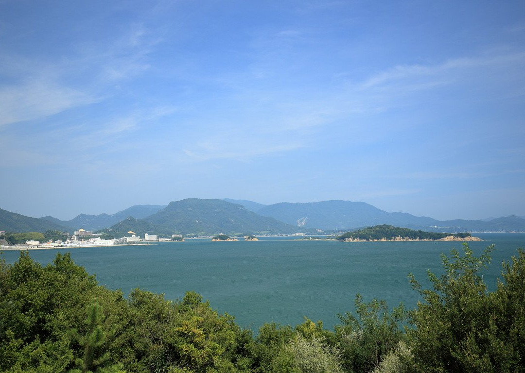 1000 Years Olive Tree景点图片