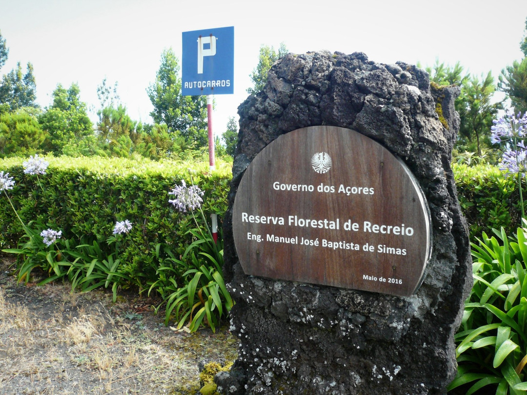 Reserva Florestal de Recreio da Prainha-Sao Roque do Pico必去景点