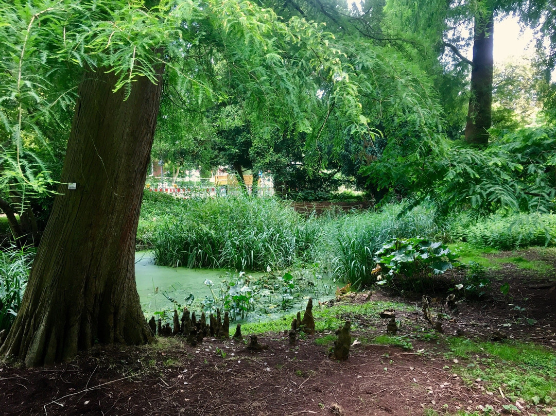 Alter Botanischer Garten-基尔必去景点