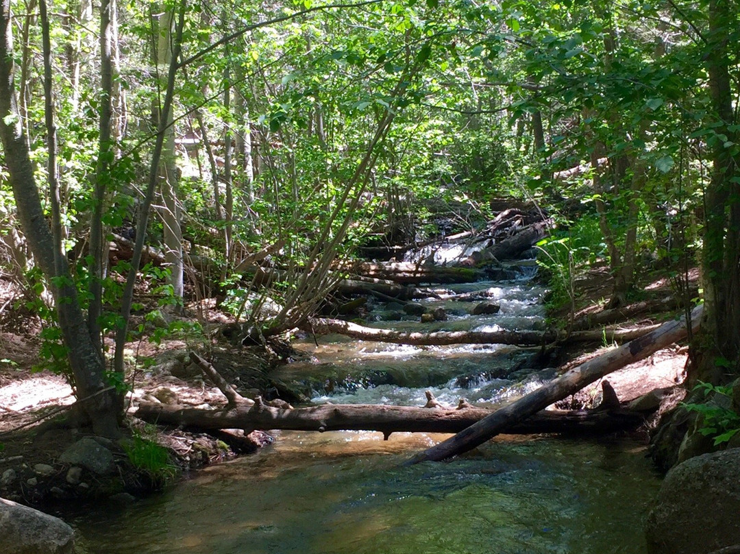 Santa Fe National Forest-新墨西哥必去景点