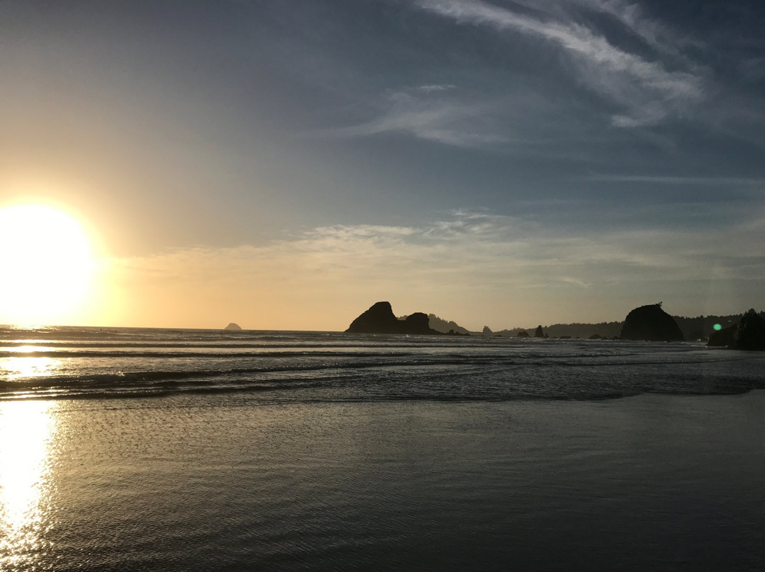Clam Beach County Park景点图片