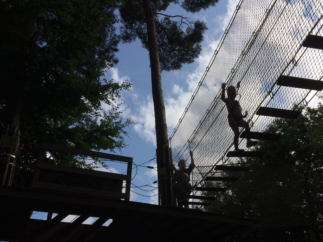 Go Ape Alice Holt景点图片