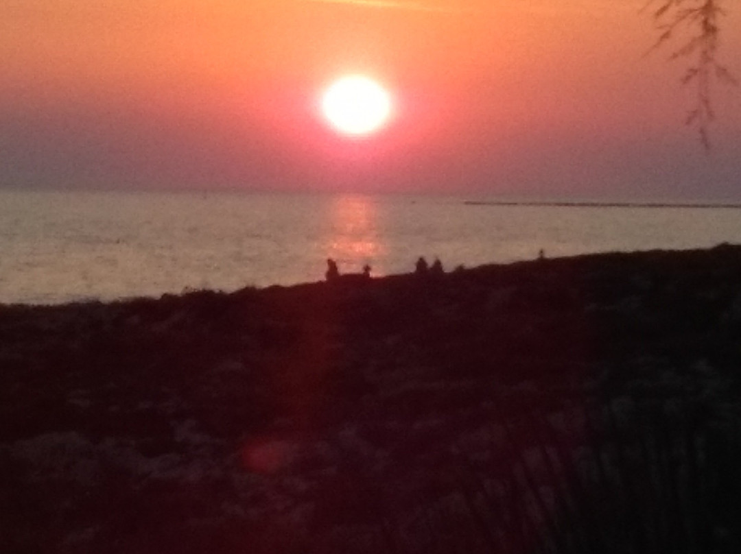 Capilungo餐馆和美食-Pizzeria d'asporto Il Mirto Forno A Legna