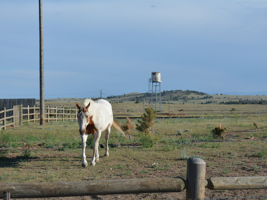 Buford Trading Post-Buford必去景点