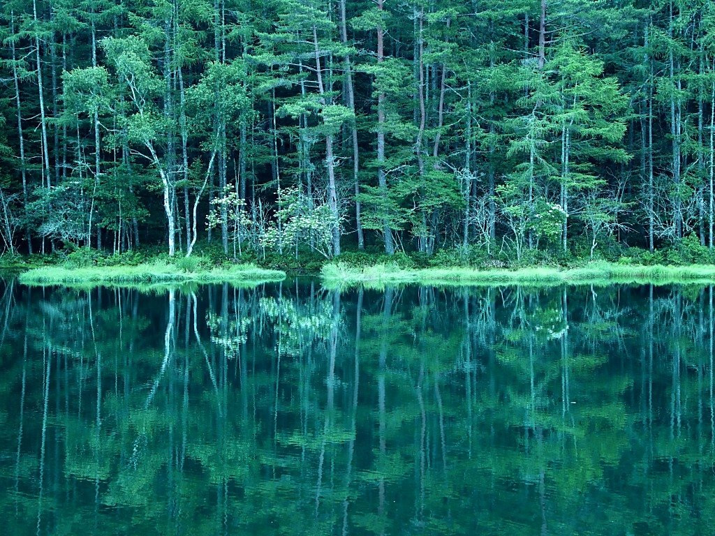 Mishakaike Pond-茅野市必去景点