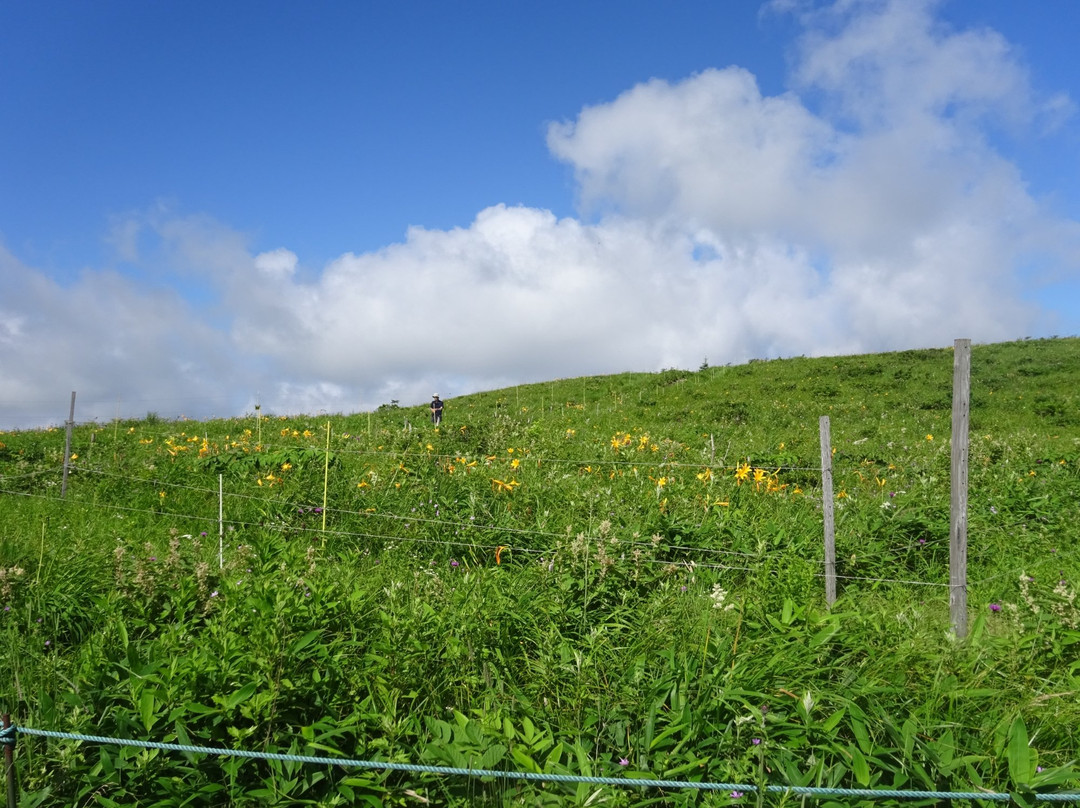 Kirigamine Marshland景点图片