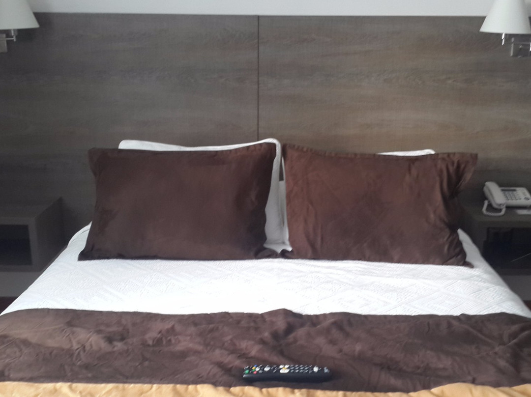 Osorno酒店住宿-Hotel Conrado