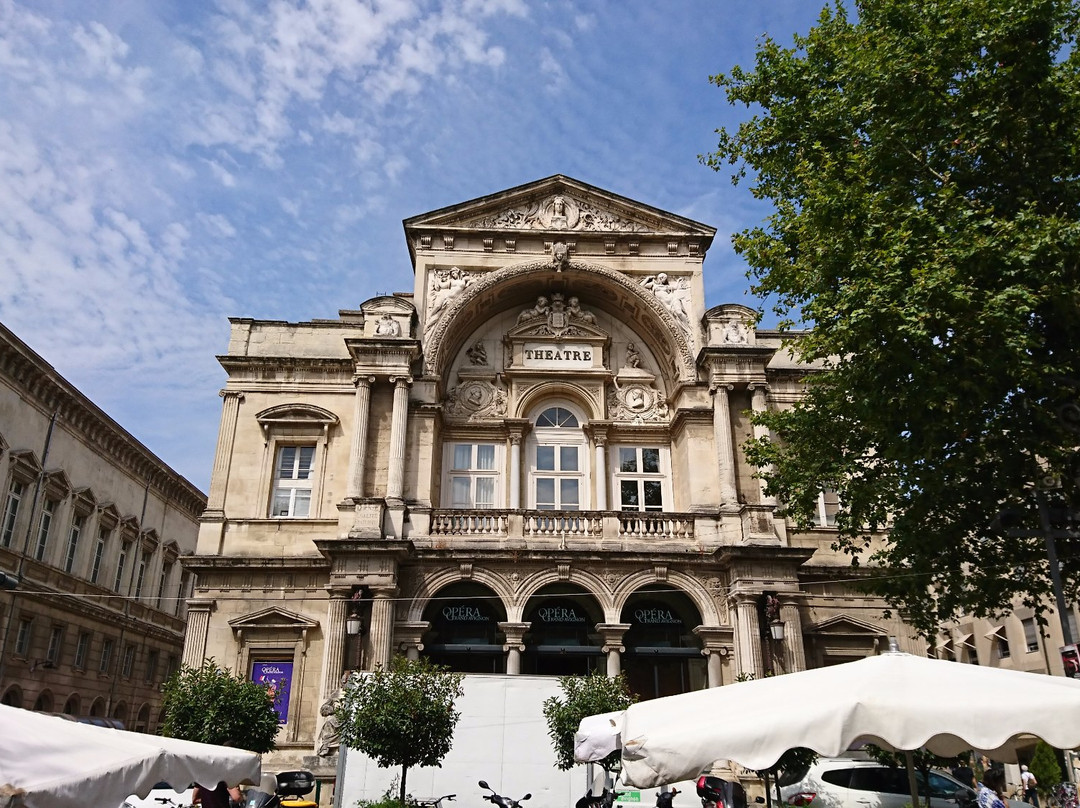 Opéra Théâtre d'Avignon景点图片