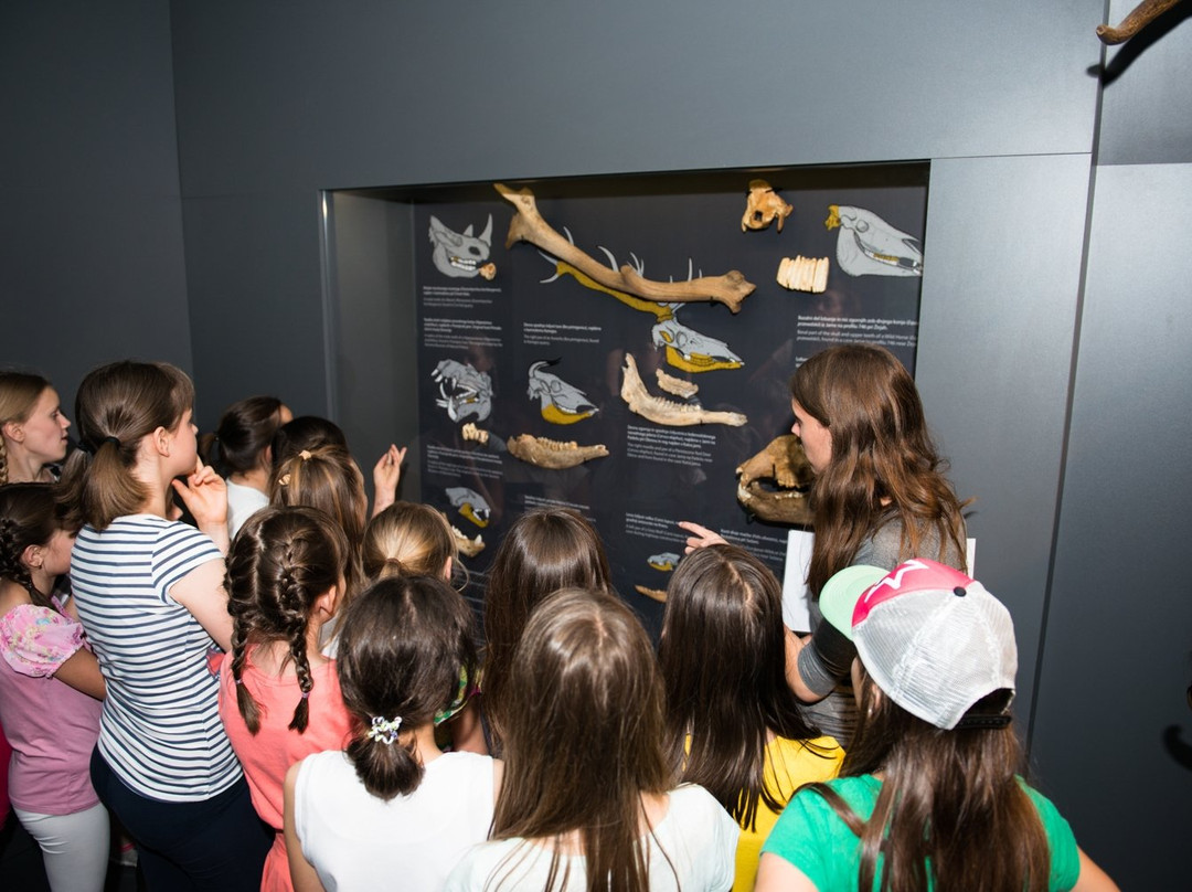 Notranjska museum Postojna-波斯托伊纳必去景点