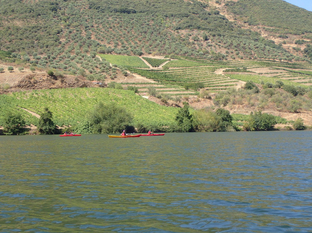Portugal Kayak-阿威罗必去景点