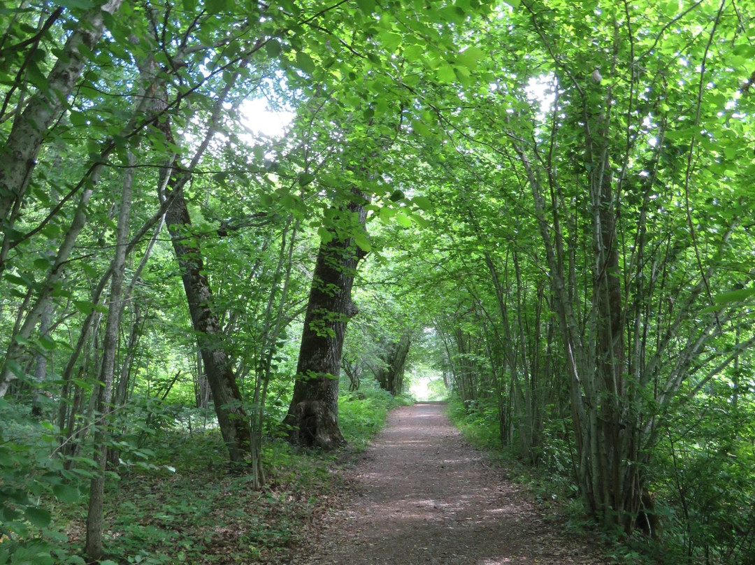 Hjälstaviken Naturreservat-Enkoping必去景点