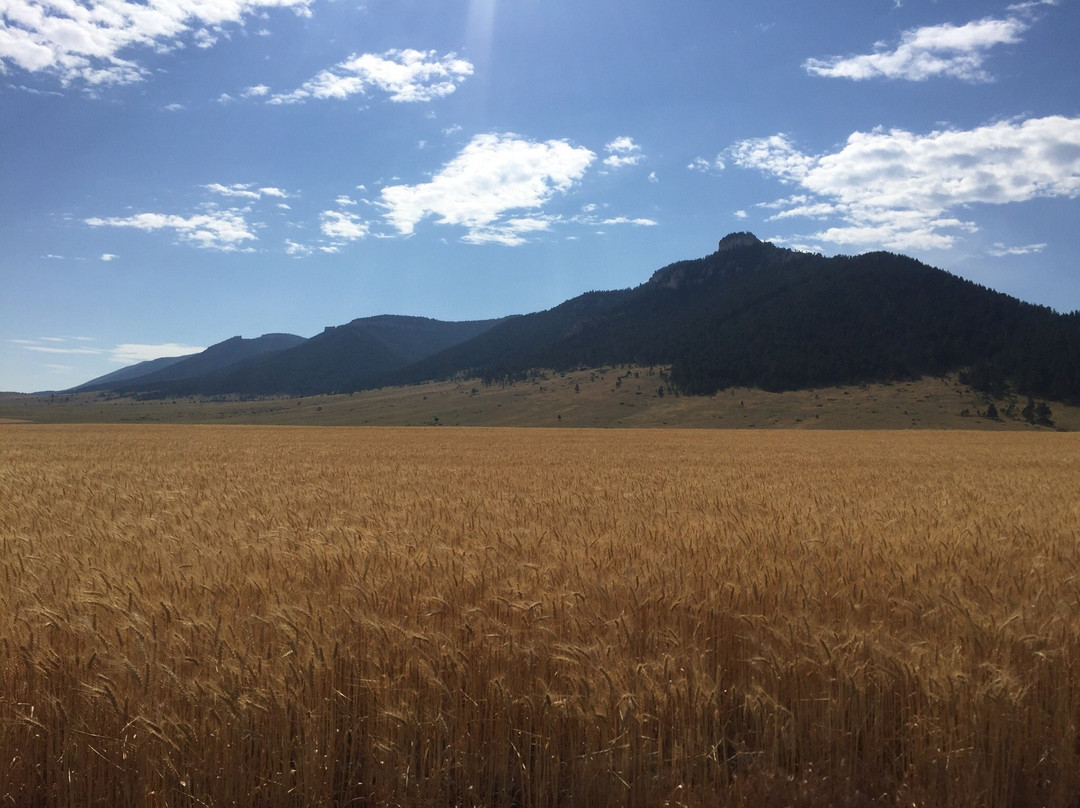 Pryor Mountains-比灵斯必去景点