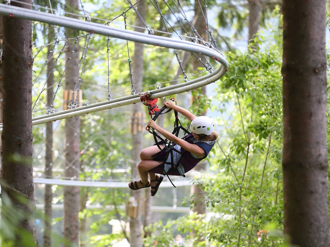 Roller Coaster Zipline-Polyanytsya必去景点