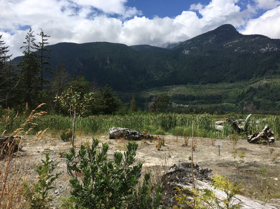 Squamish Estuary景点图片