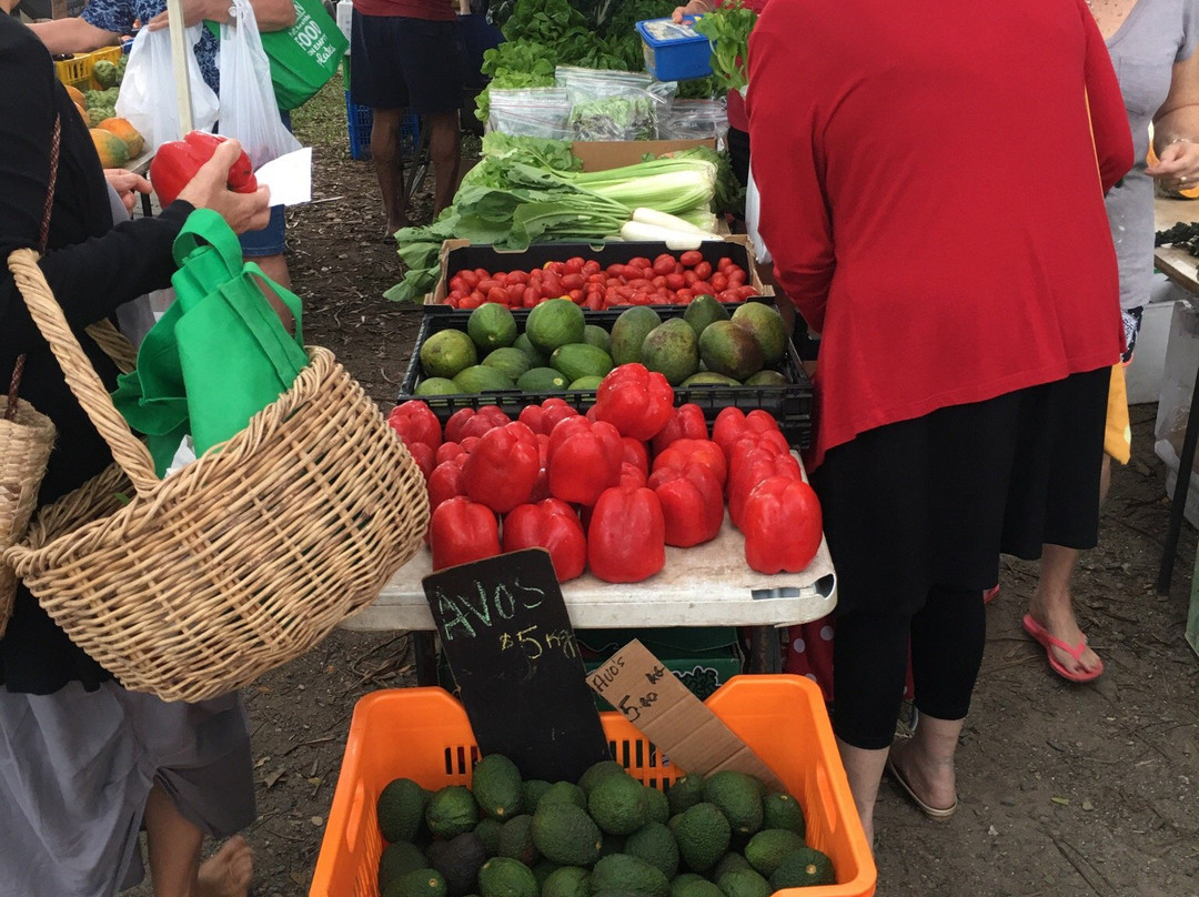 Mossman Saturday Market-Mossman必去景点