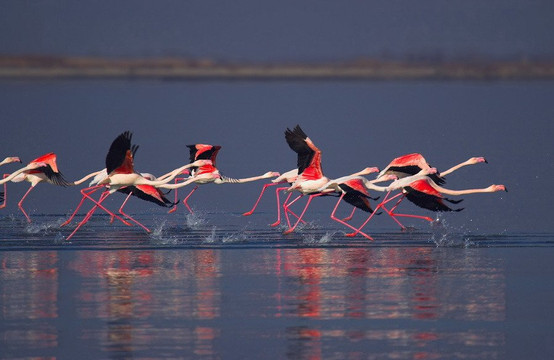 Delta Axios-Chalastra必去景点