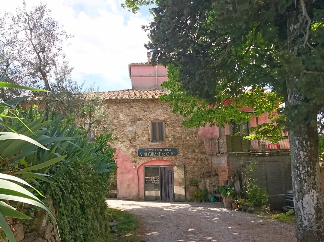 Poggi del Chianti Winery景点图片