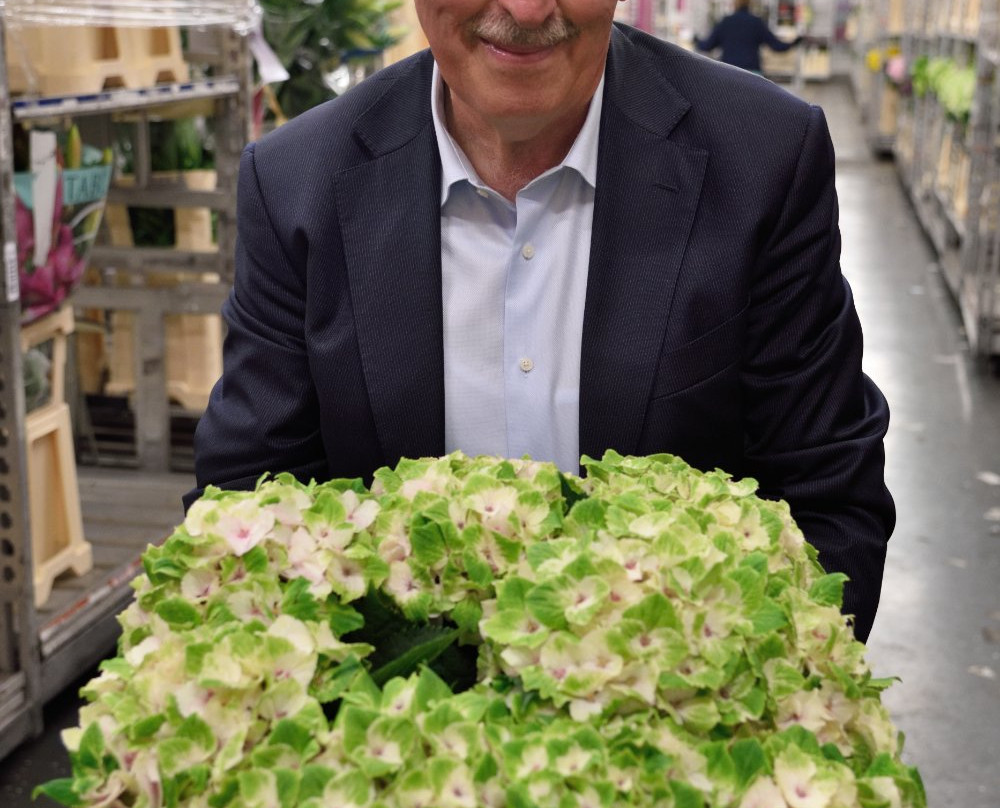Flower Tours Holland景点图片