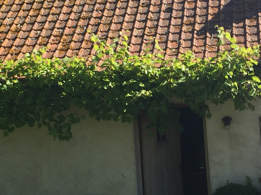 Hoeve de Steenoven主图