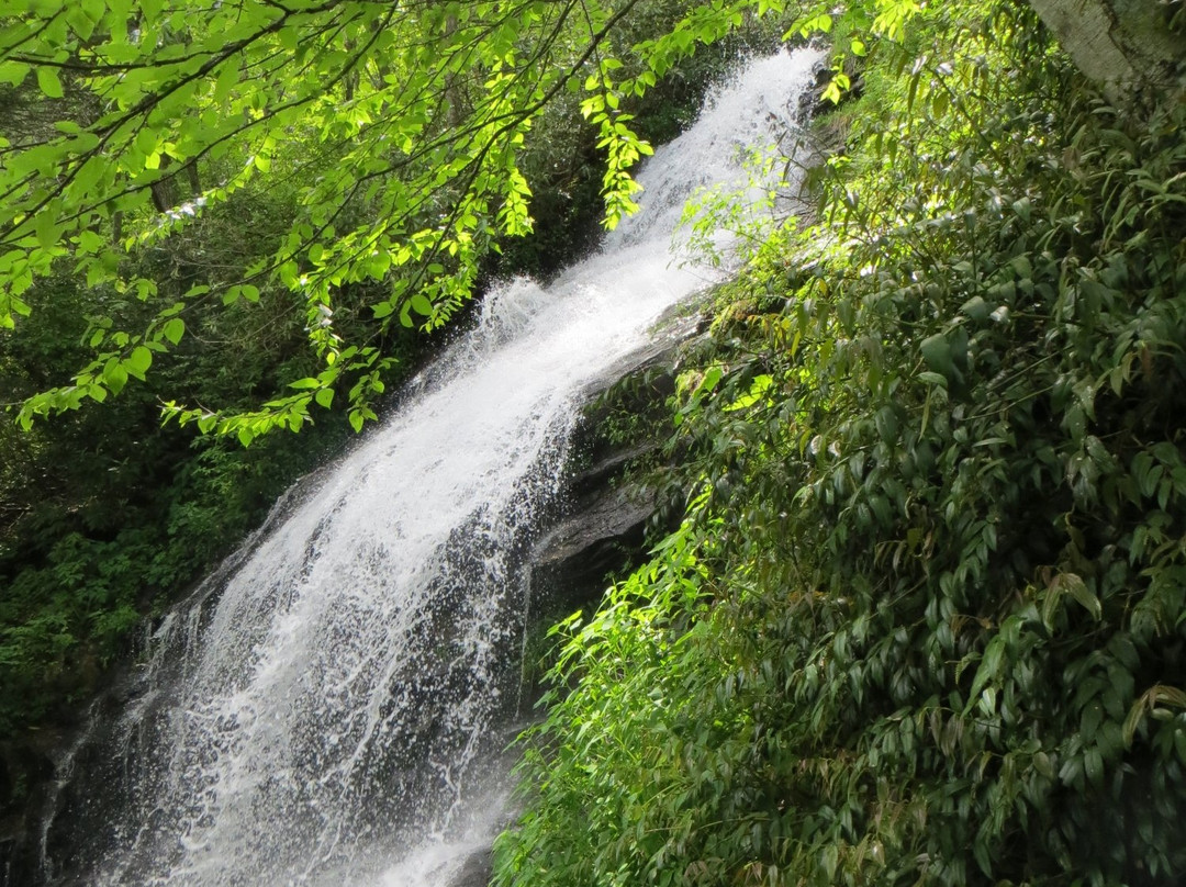 Wilkesboro旅游攻略图片