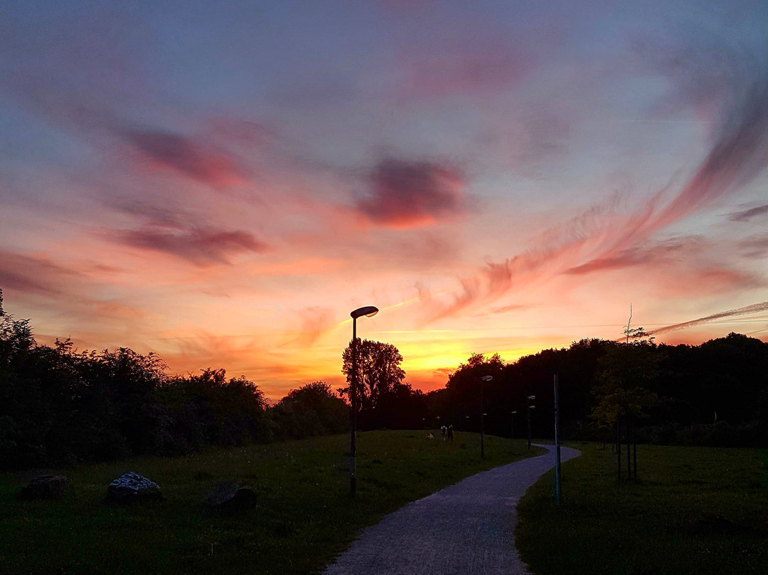 Fredenbaumpark-多特蒙德必去景点