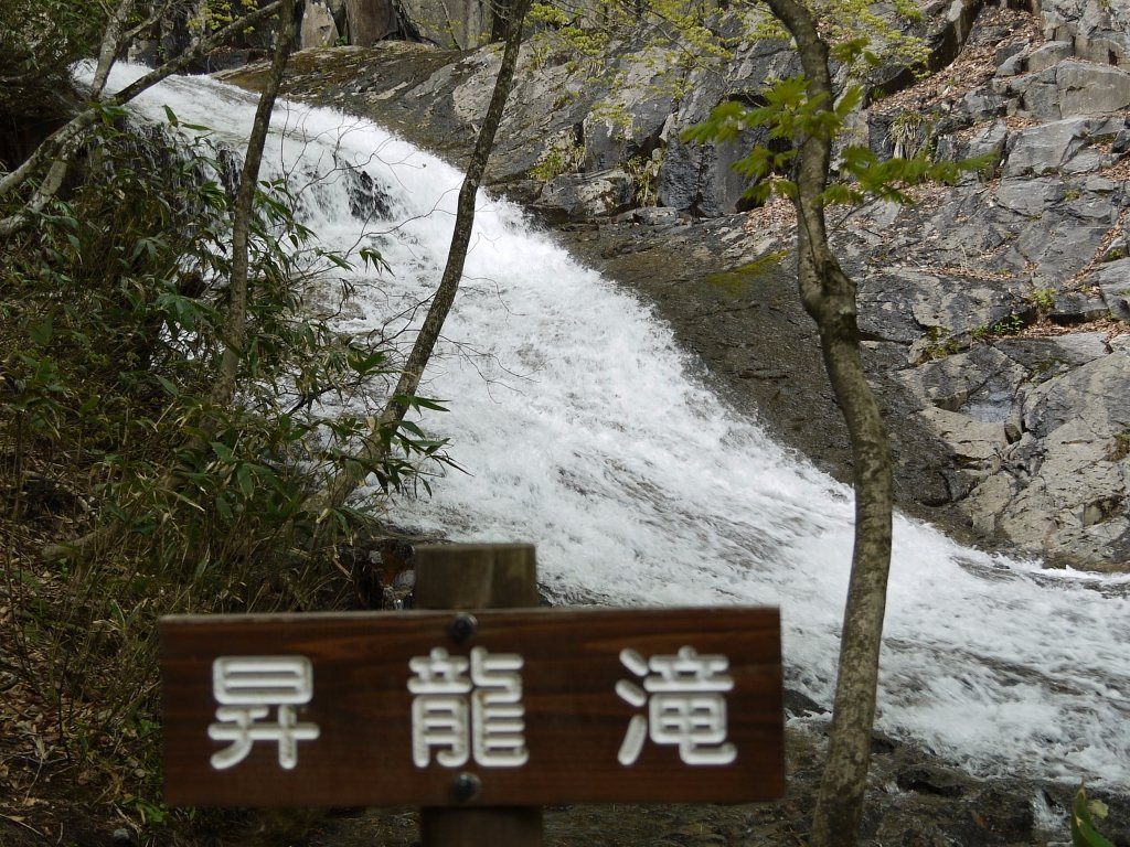 Adatara Valley Okudake Natural Trail景点图片