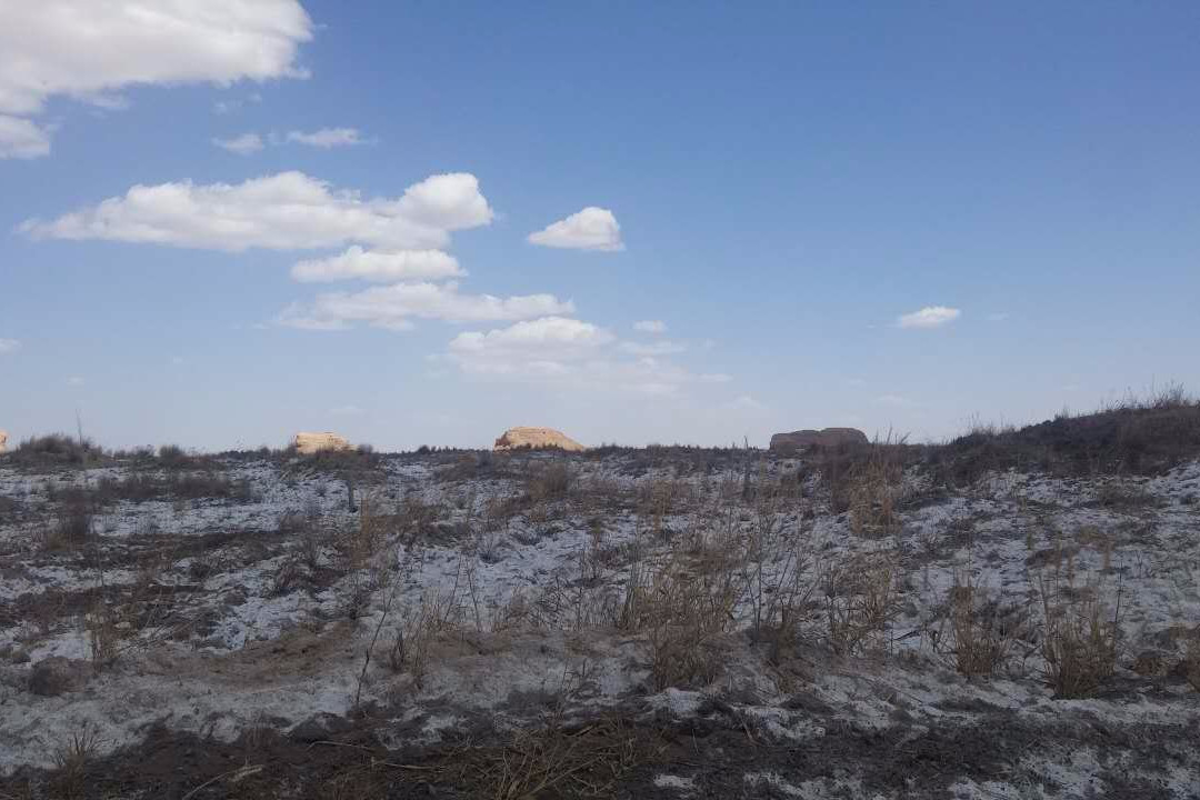 敦煌西湖自然保护区景点图片