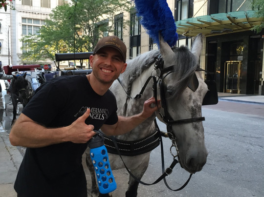 Chicago Horse and Carriage-芝加哥必去景点