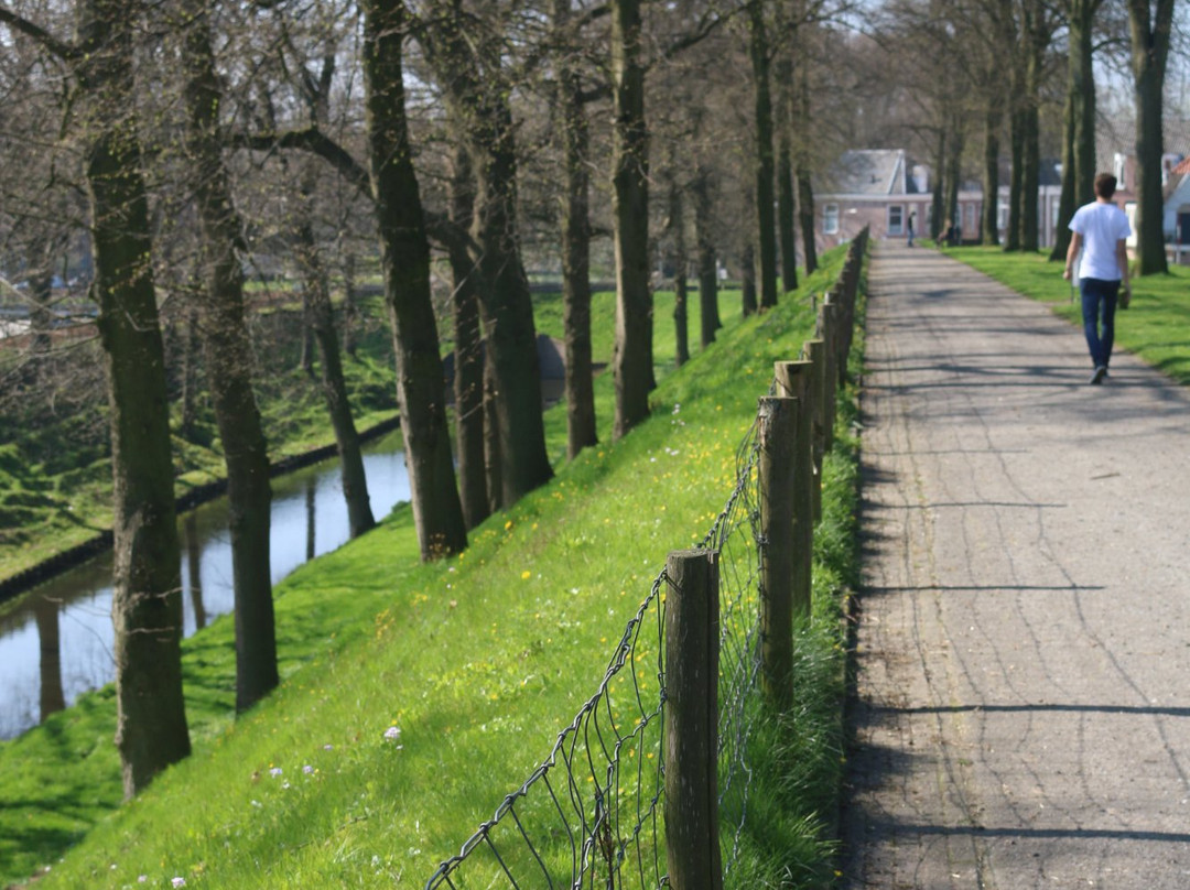 Steenwijktours景点图片