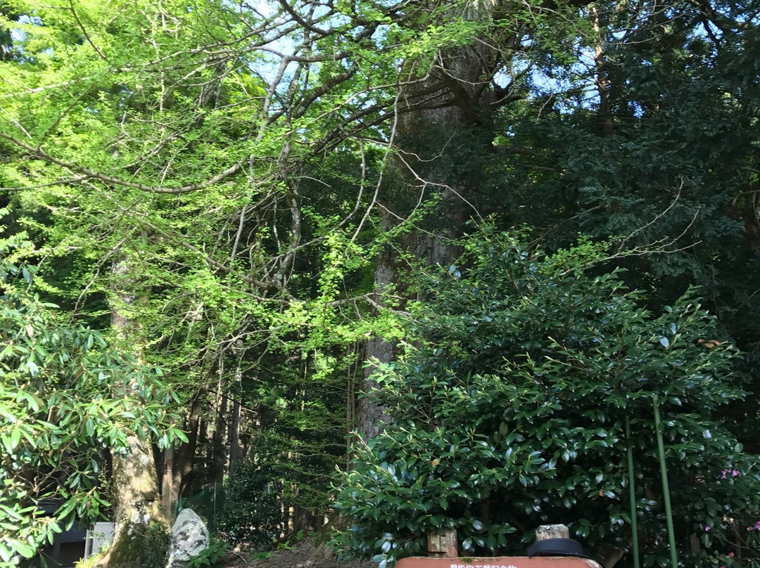 Otowasan Kannonji Temple-樱井市必去景点