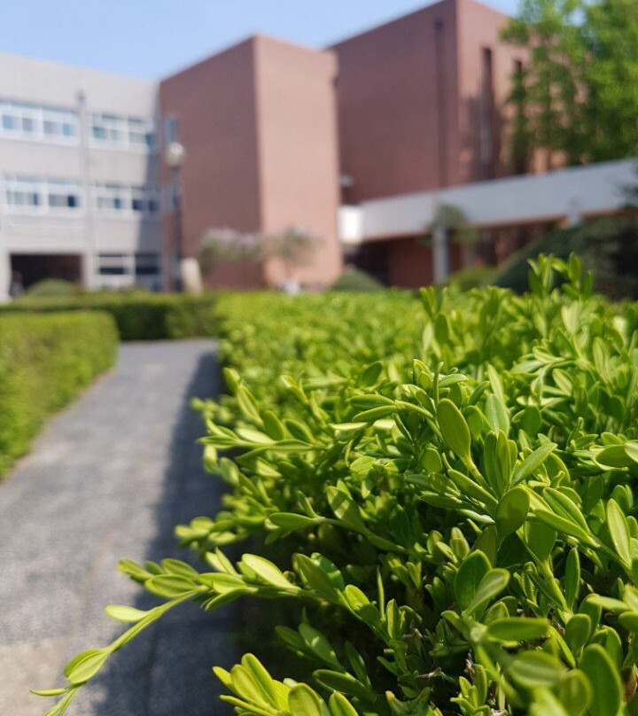 Chungang University Museum-安城市必去景点