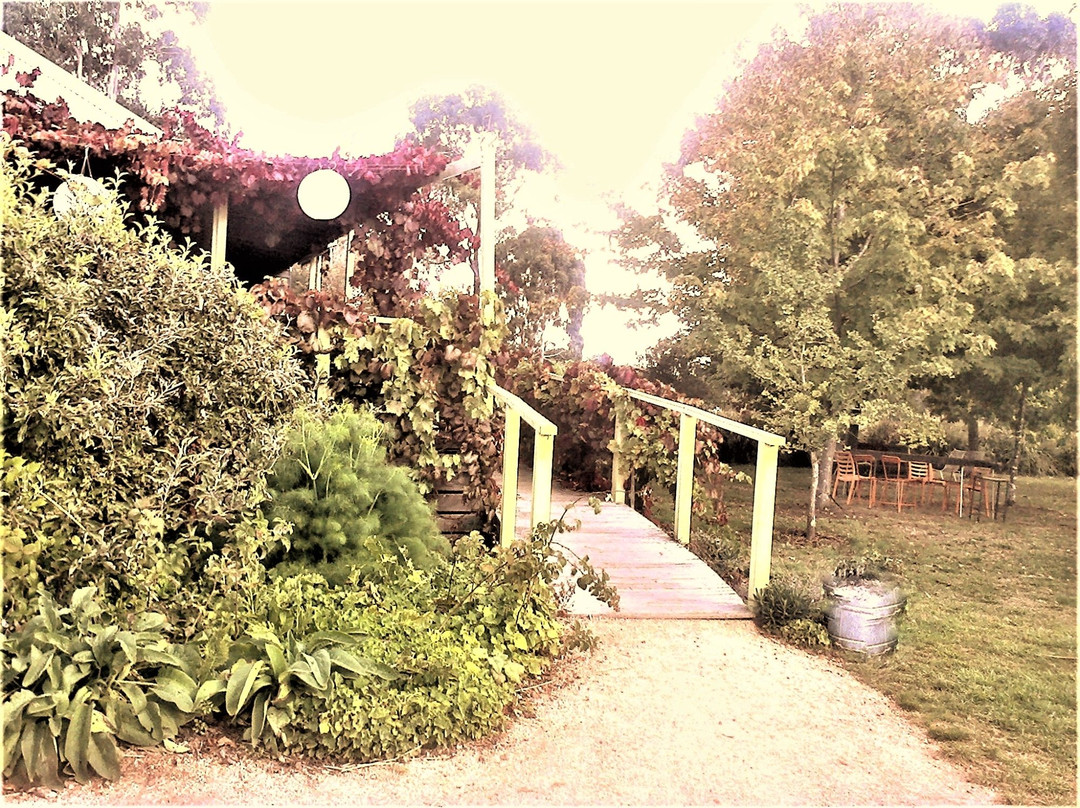 Maze House-Newlyn必去景点