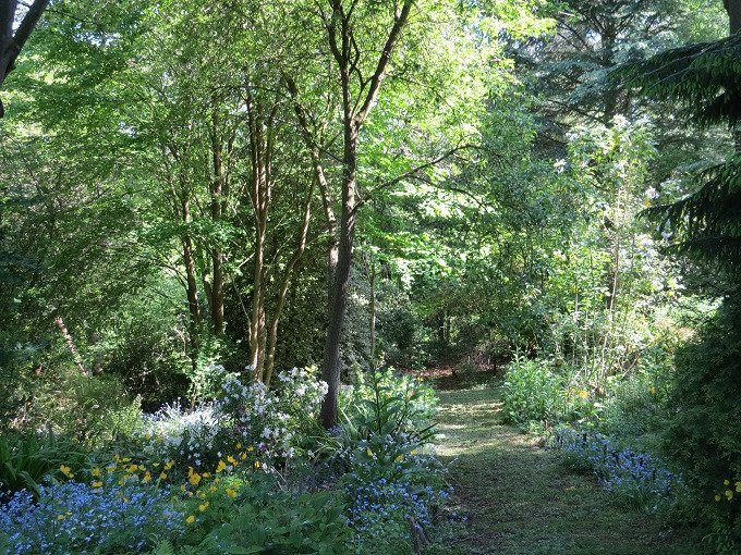 Moors Meadow Gardens景点图片
