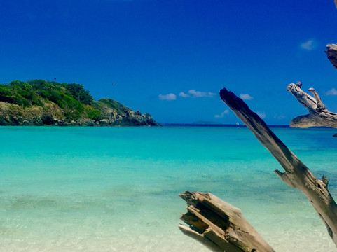 Hookie II Sportfishing Charters-夏洛特阿马利亚必去景点