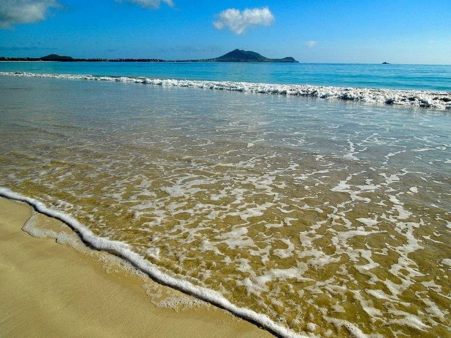 卡内奥赫酒店住宿-Paradise Palms Bed and Breakfast