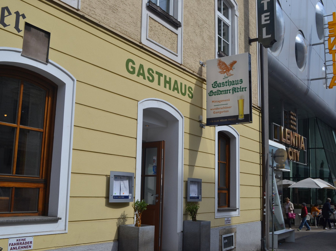 Zauners Goldener Adler