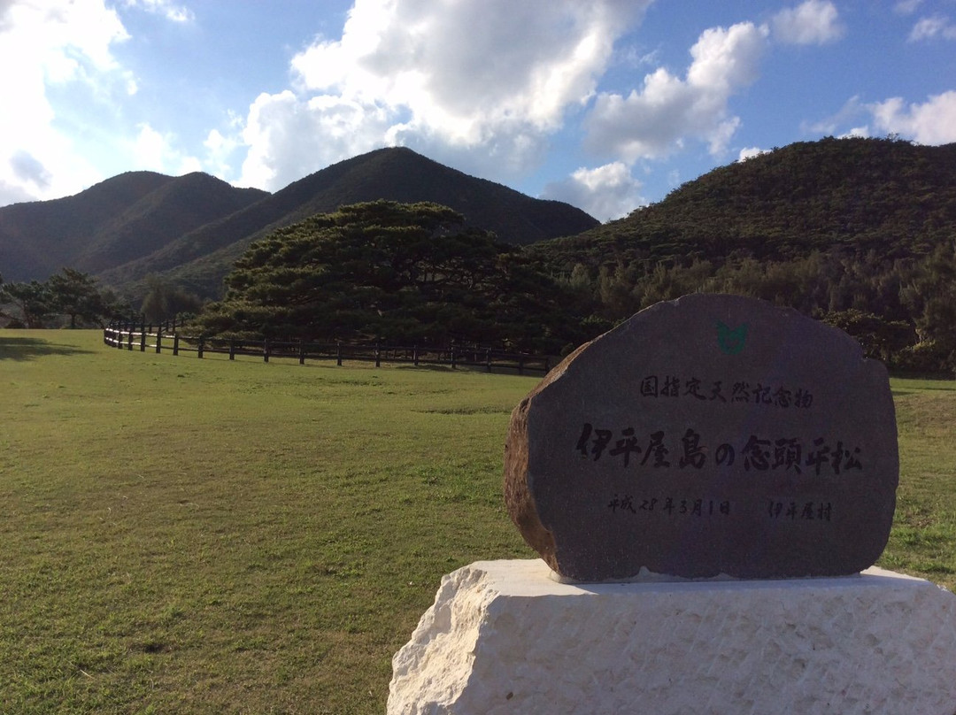 Nentohiramatsu景点图片