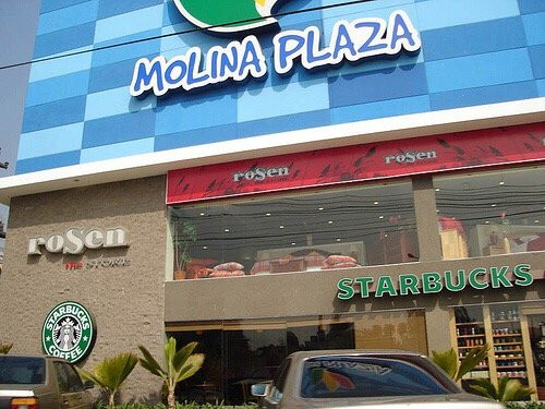 Molina Plaza景点图片
