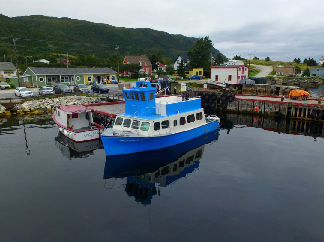 Blackawton Boat Tours-Woody Point必去景点
