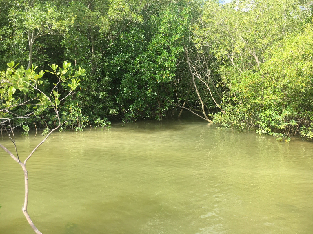 Shoal Bay Sport Fishing Tours-达尔文市必去景点