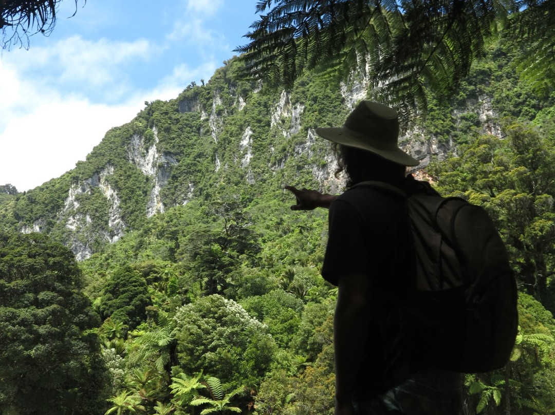 Fox River Cave Walk景点图片